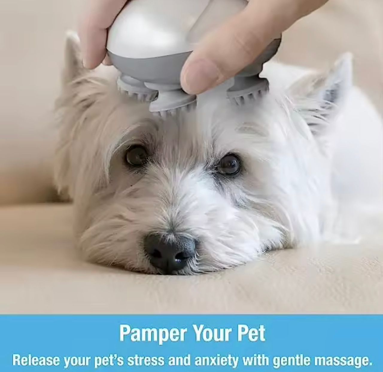 Electric Pet Head & Body Massager