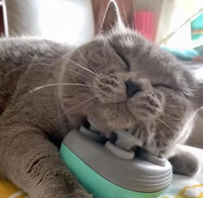 Electric Pet Head & Body Massager