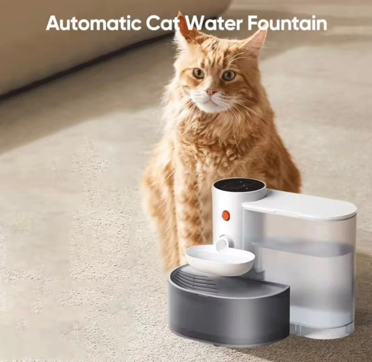 Automatic Cat Water Fountain (Unplugged)
