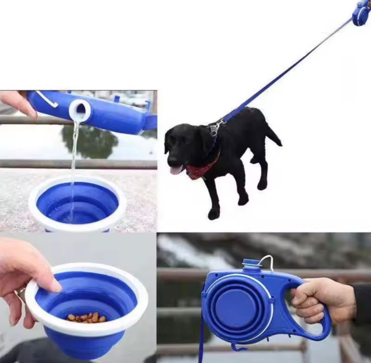 3-in-1 Dog Leash with Water Bottle & Waste Bags